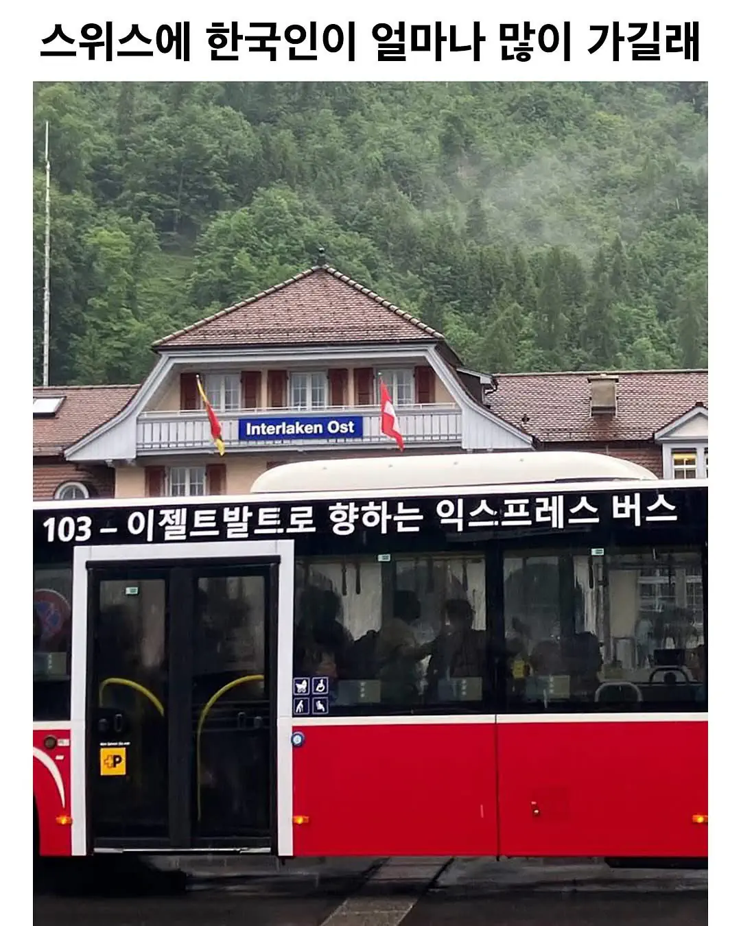 스위스에 한국인이 얼마나 많이 가길래