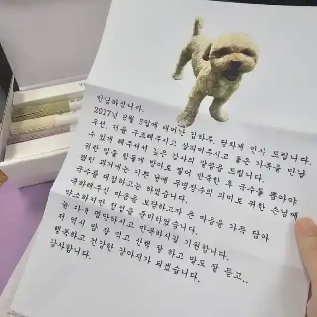 입양 보낸 강아지가 편지를 보내왔다