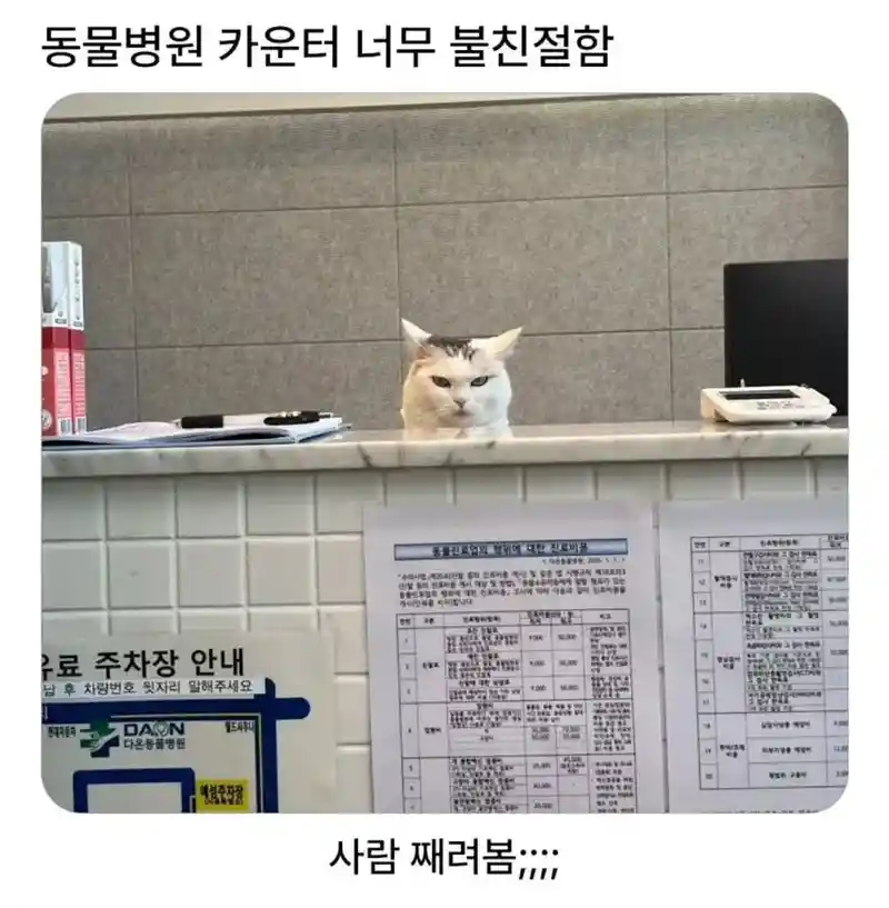 동물병원 카운터 불친절한 직원