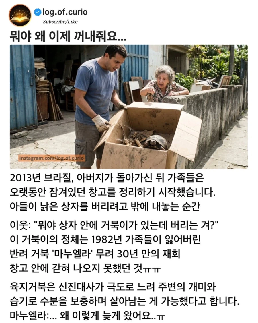 30년 만에 발견한 반려거북