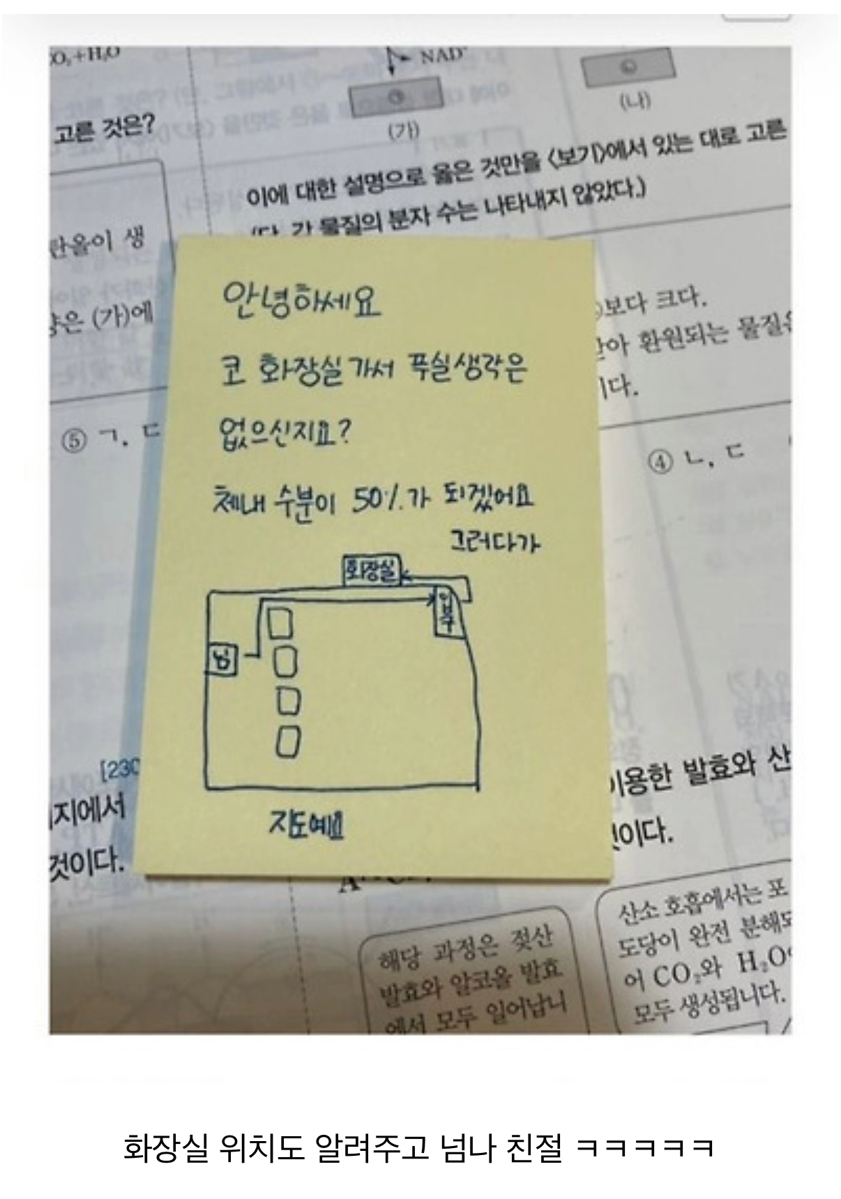 코 화장실 가서 푸실 생각은 없으신지요?