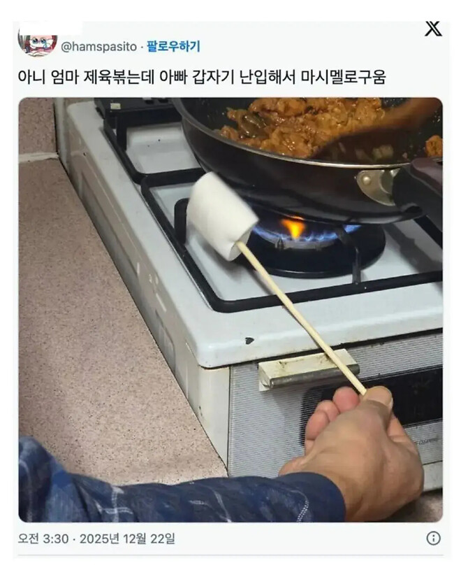 엄마가 제육 볶는데 아빠가 난입해서 마쉬멜로 구음