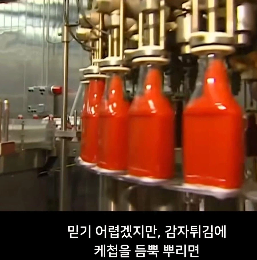 감자튀김에 케찹을 꼭 뿌려야하는 이유