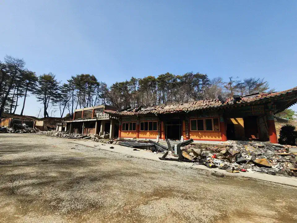 MZ한 불교 근황