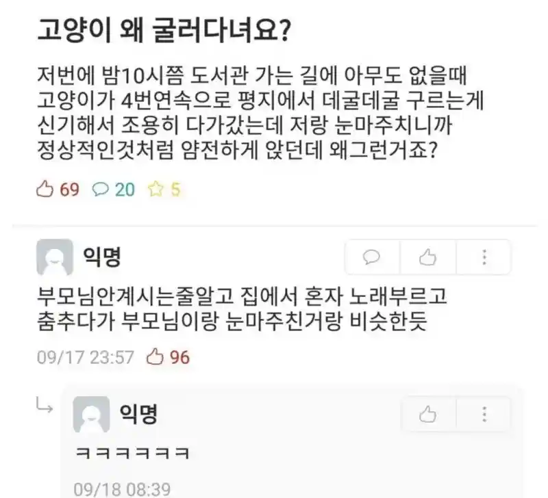 고양이 왜 굴러다녀요?