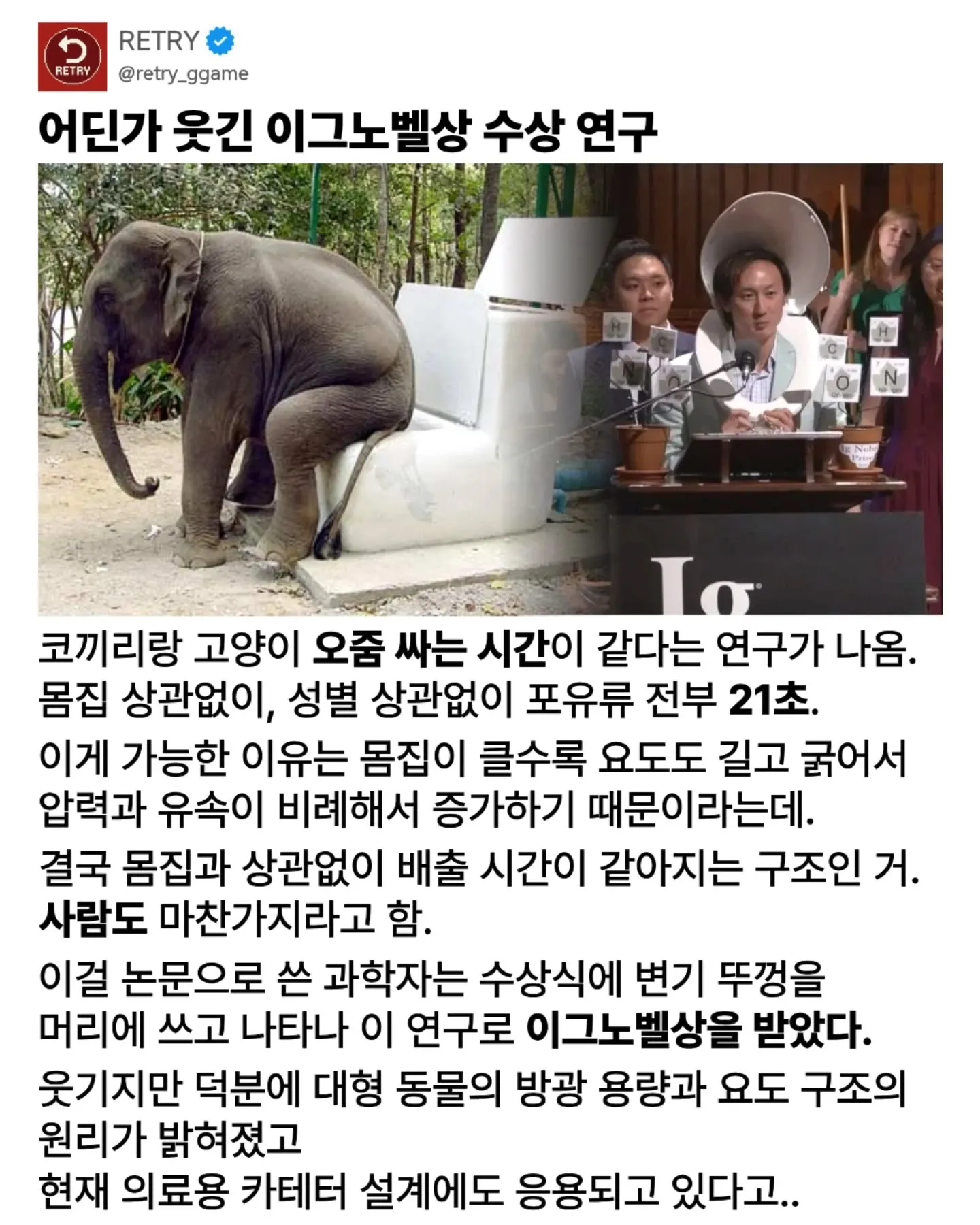 의외로 코끼리랑 고양이랑 인간이 같다는 것.jpg