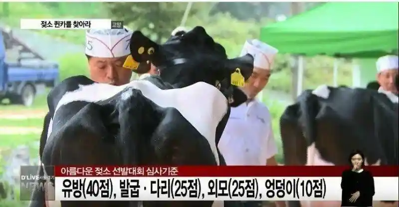 유방 40점, 다리 25점, 외모 25점, 엉덩이 10점.jpg