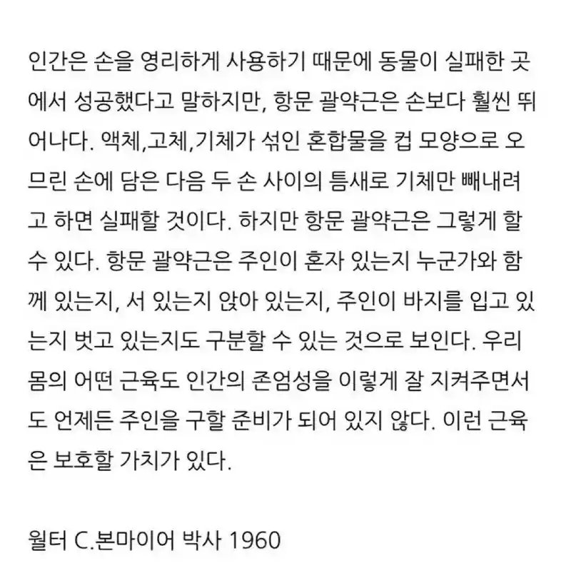 인체에서 가장 똑똑한 근육