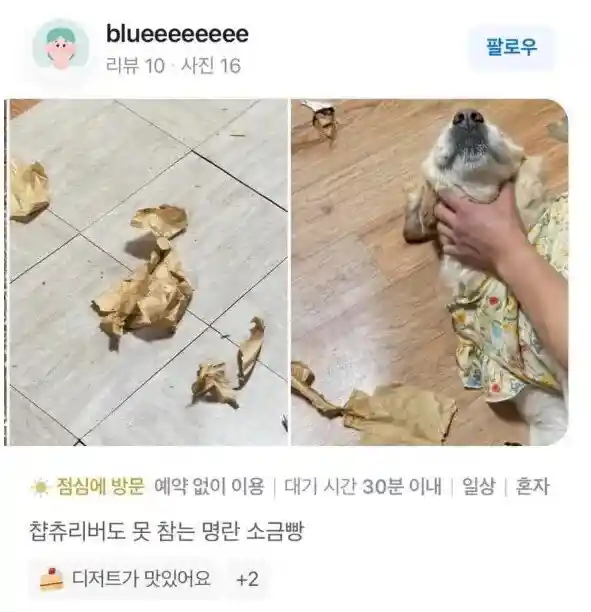 명란 소금빵 근황.jpg