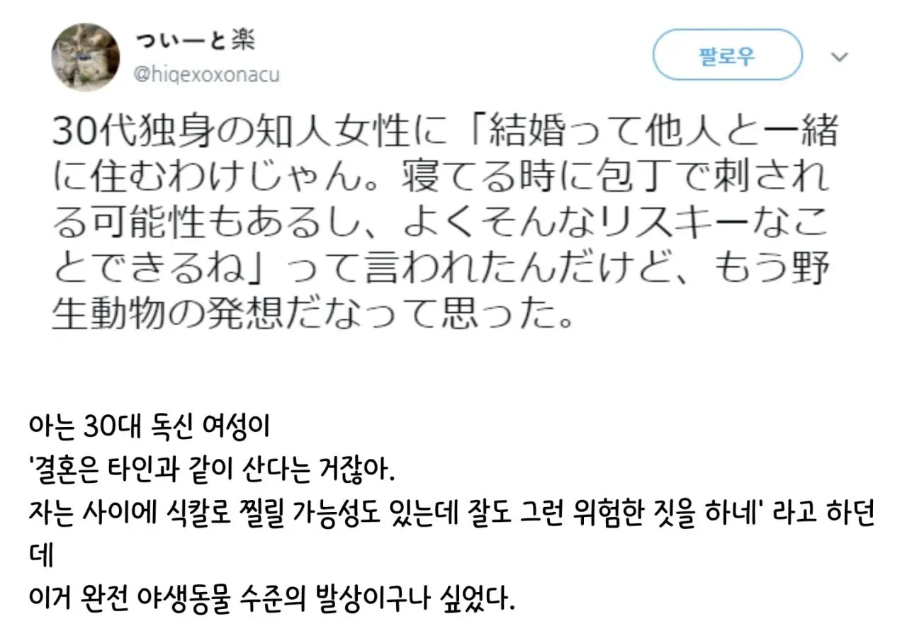 결혼은 위험하다는 어느 30대 독신녀