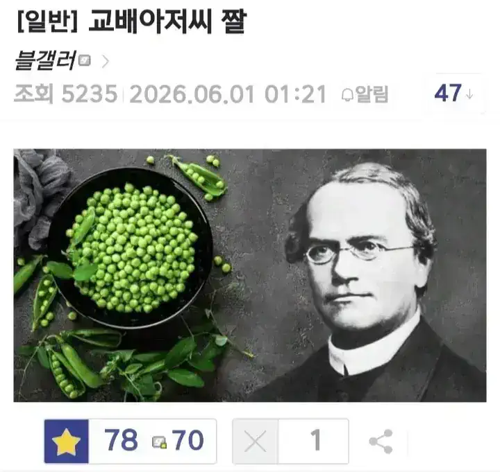 교배 아저씨 짤