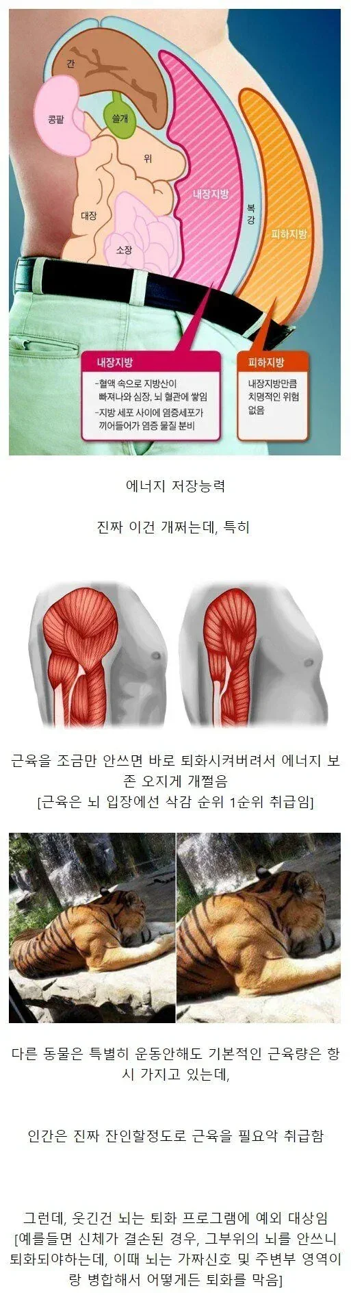 인간이 가진 S급 능력.JPG