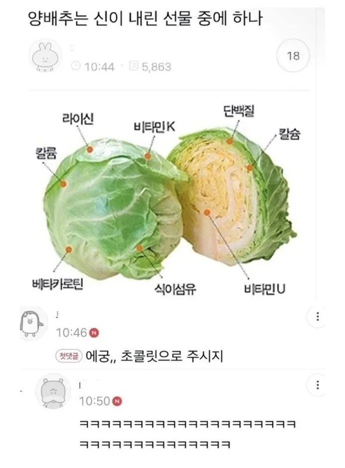 양배추는 신이 내린 선물 중에 하나....JPG