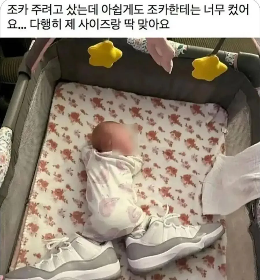 조카한테 비싼 신발 사 준 삼촌