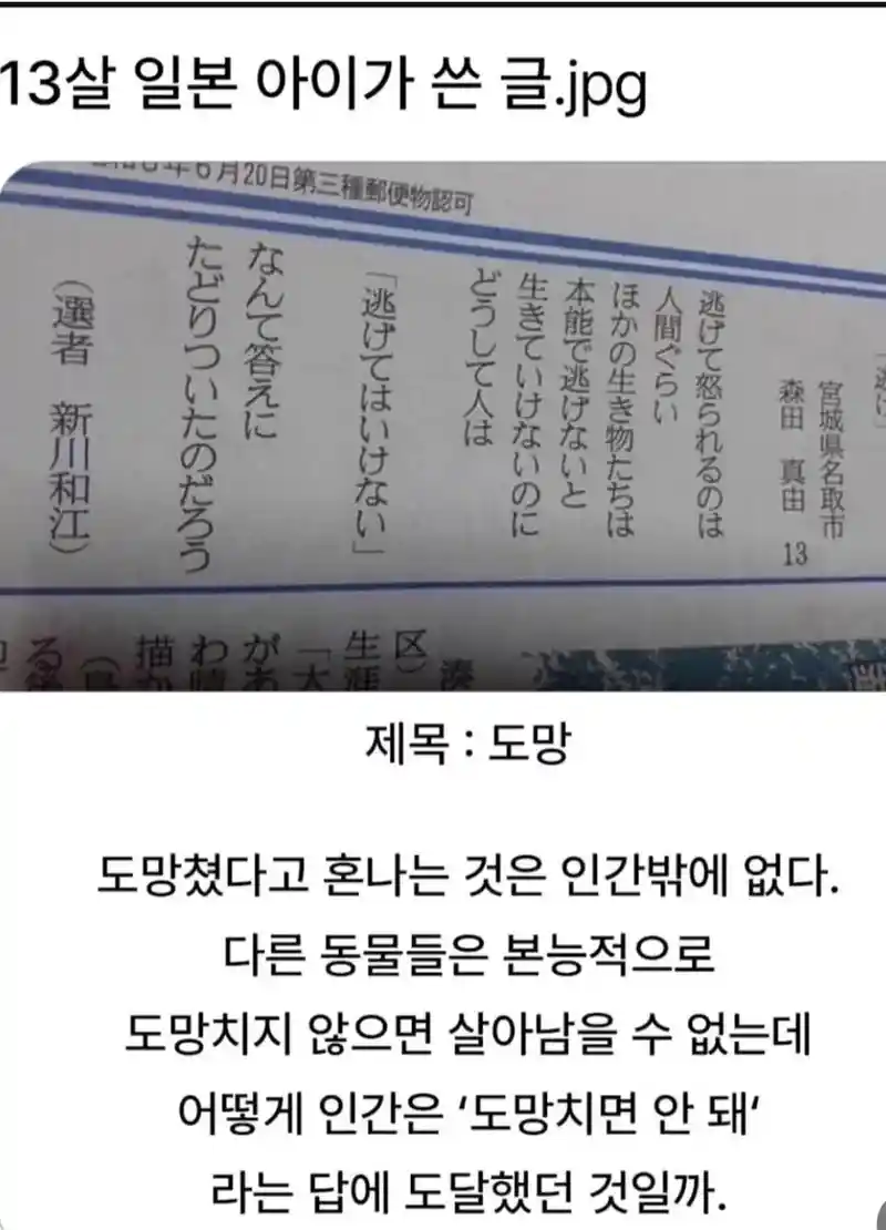 13살 일본 아이가 쓴 글