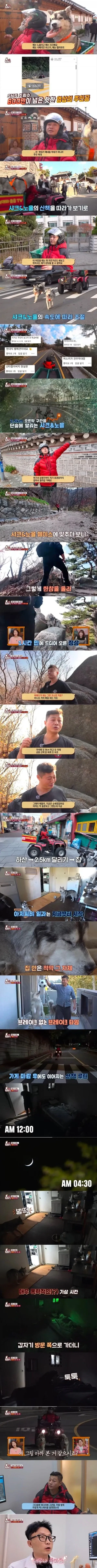 학대 논란이 있는 허스키 견주
