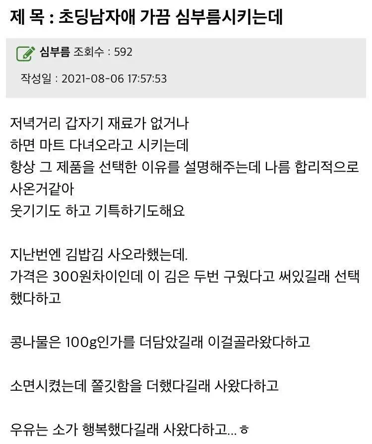 초딩 아들 심부름 후기