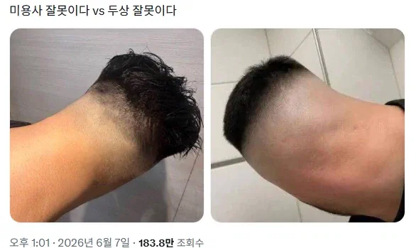 지금 존나 핫한 미용사 잘못이다 vs 대갈통이 못 생긴게 문제다 논쟁