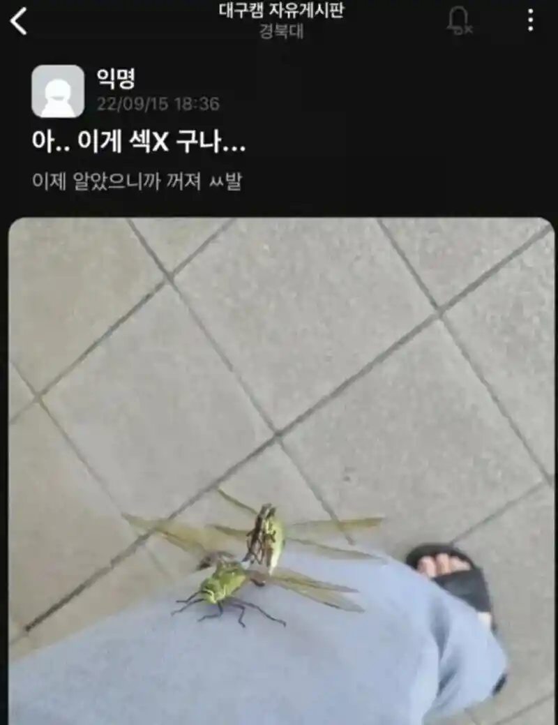 ㅅㅅ가 뭔지 똑똑히 알게된 경북대생
