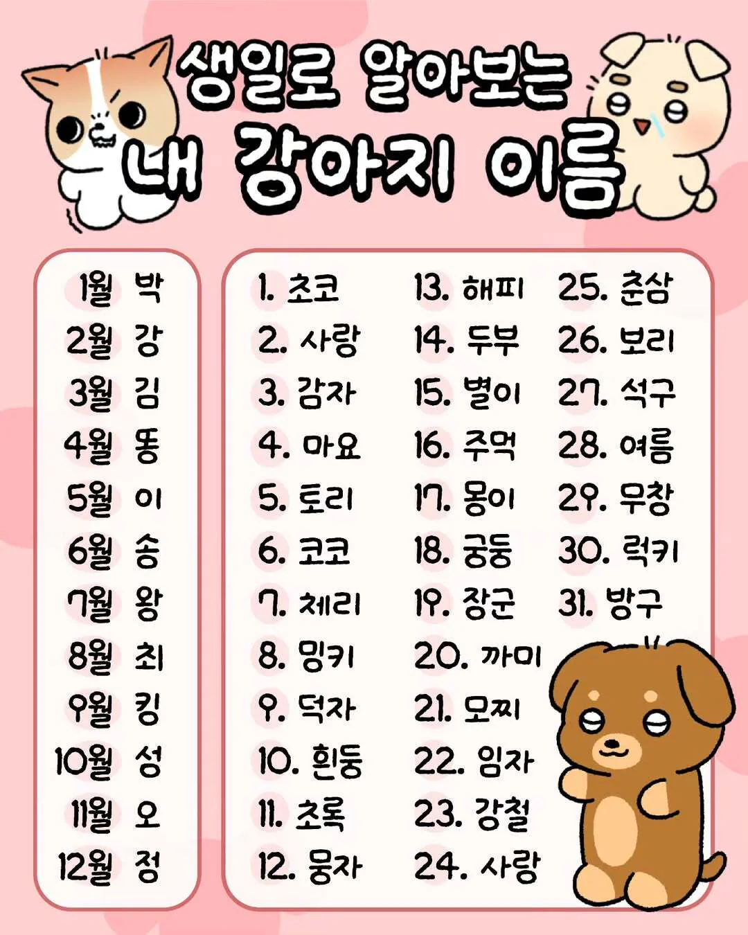 내가 강아지라면 어떤 이름일까?🐶