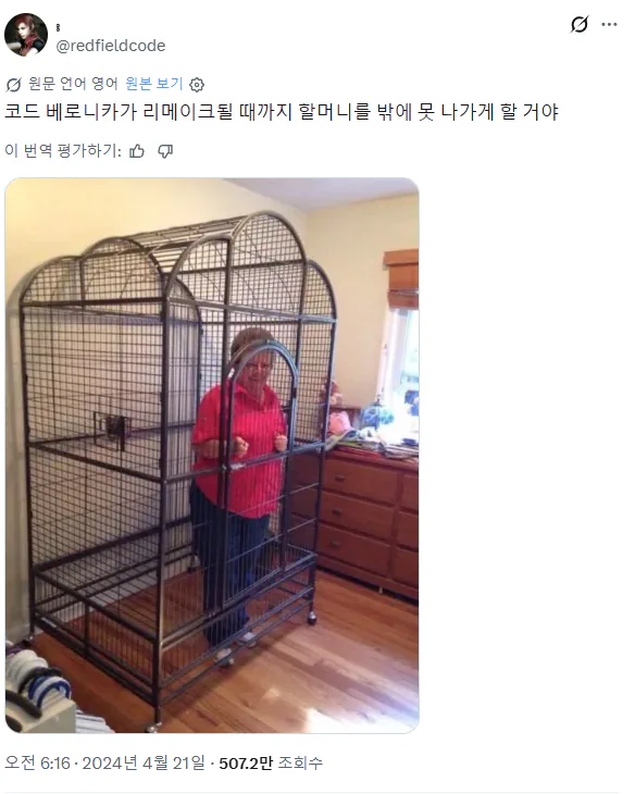 게임을 리메이크 할때까지 할머니를 가둬두겠다는 유저에게 공식계정이 보인 반응
