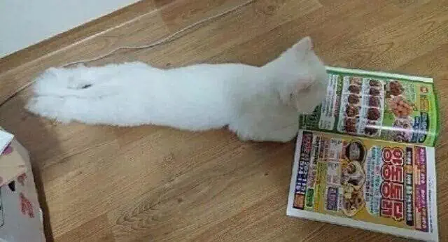 아주 먼 옛날 배달비 없던 시절