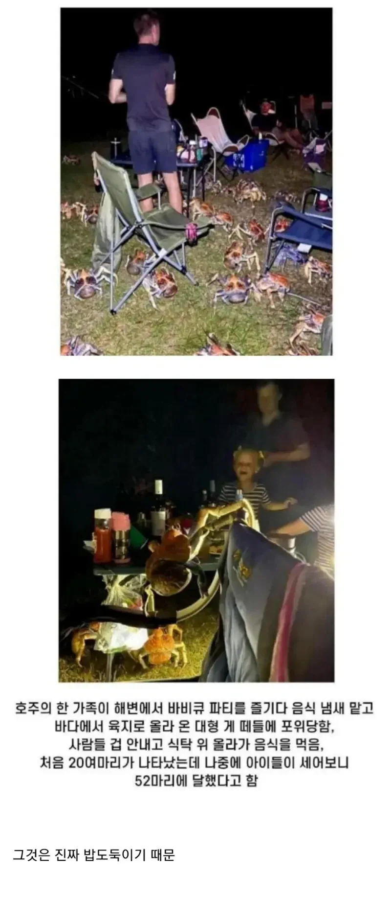 밥도둑이라는 호주게.jpg
