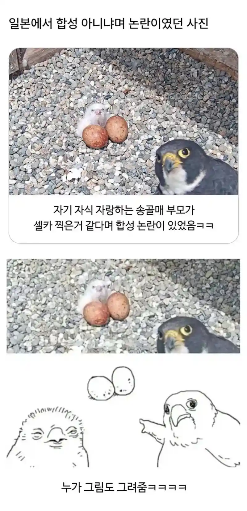 일본에서 합성 아니냐며 논란이 된 사진