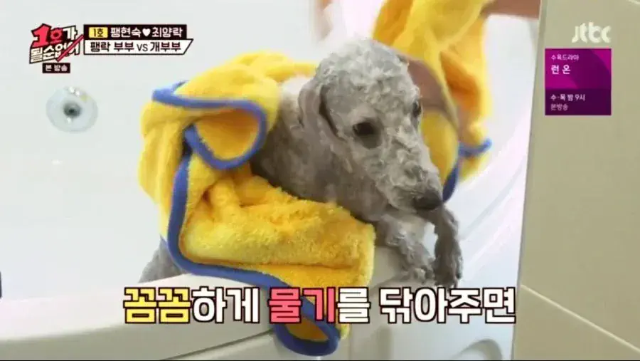 각본으로 절대 못나오는 장면