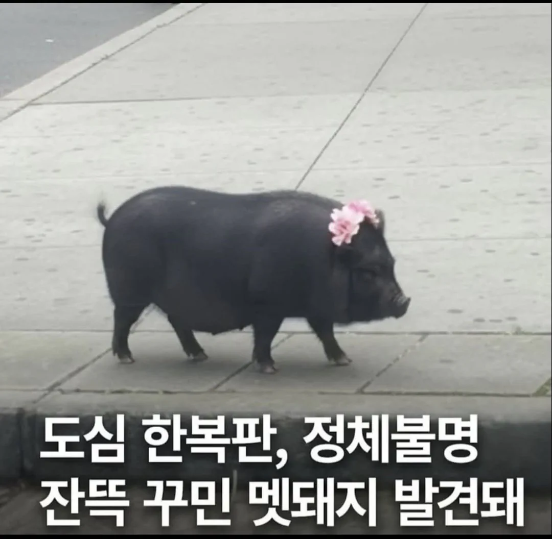 ?? : 간만에 꾸미고 나왔는데 사람들이 막 사진찍음