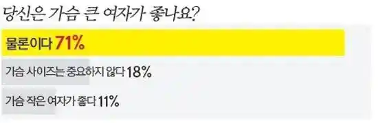 당신은 가슴큰 여자가 좋나요??