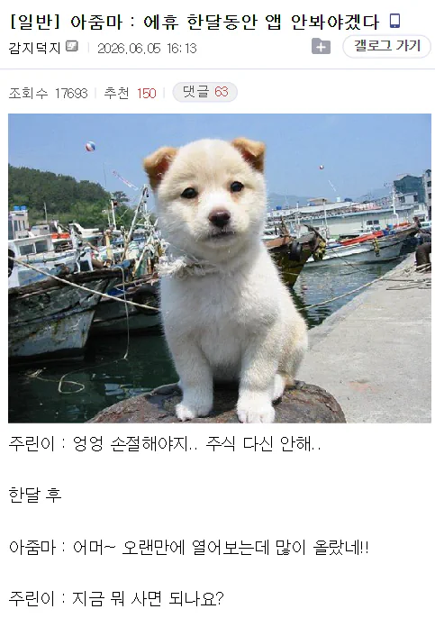 아줌마 : 에휴 한달동안 앱 안봐야겠다