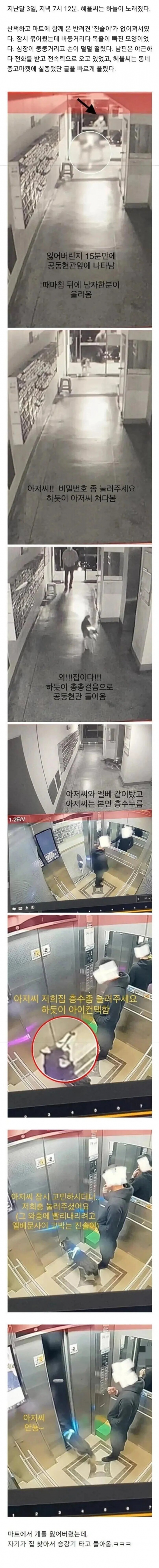 마트에서 반려견을 잃어버림