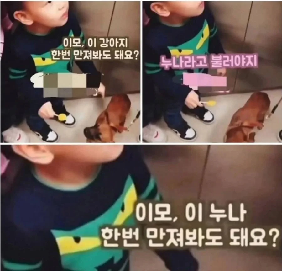누나 한번 만져봐도 돼요?