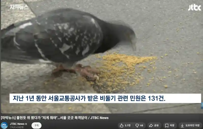 저기요 지하철 역에 비둘기 자꾸 들어오잖아요