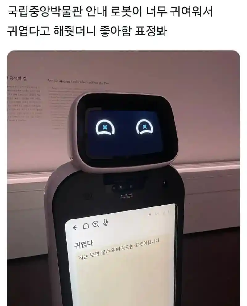 국중박에서 만날수있는 많이 귀여운 로봇
