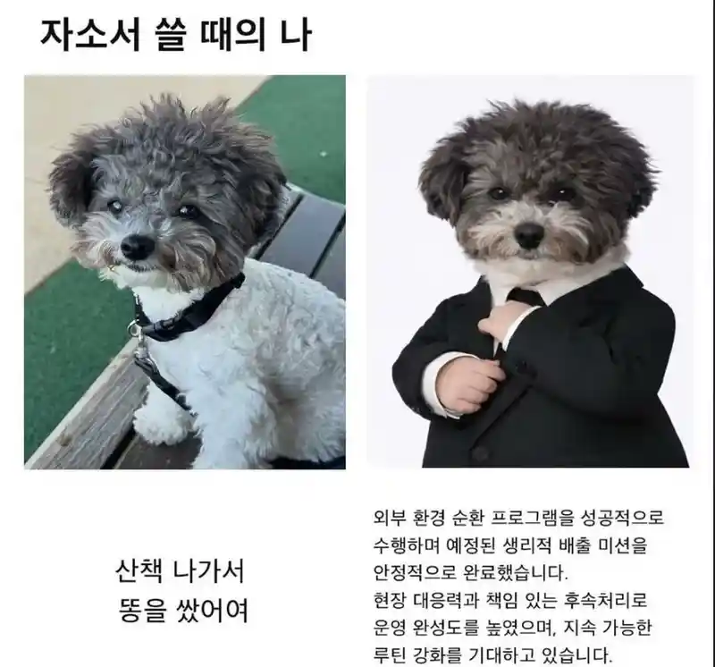 평소의 나 vs 자소서 쓸 때의 나