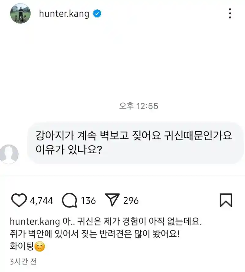 강아지가 벽보고 짖는 이유를 알려주는 강형욱