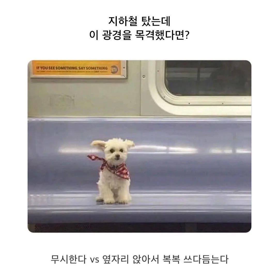 지하철 탔는데 이러면 어떡해