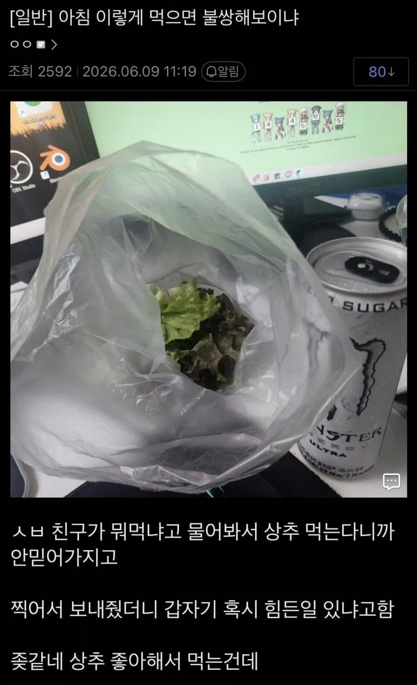 아침에 밥대신 상추를 먹는 남자