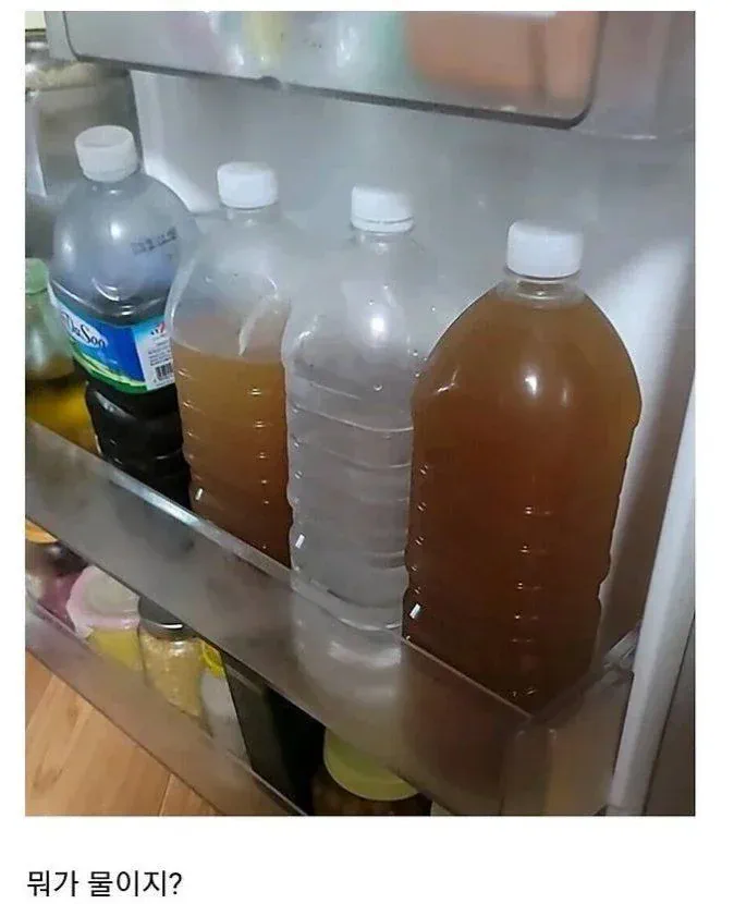 시골집 할머니 냉장고 최대 난제