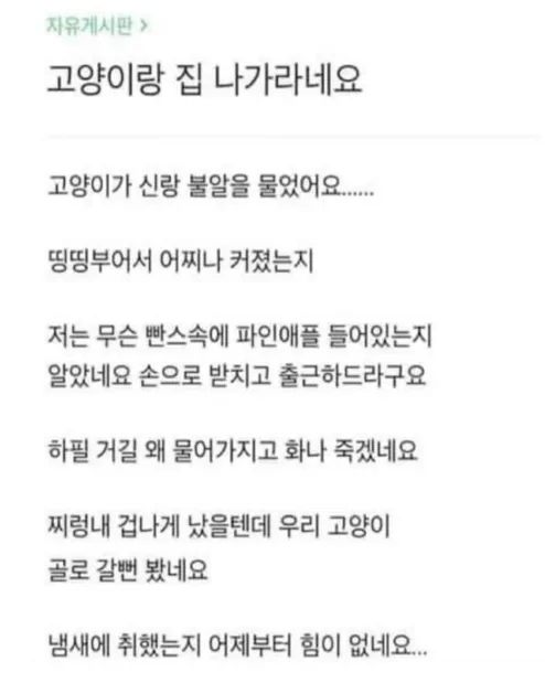 고양이가 남편 거기를 물었어요