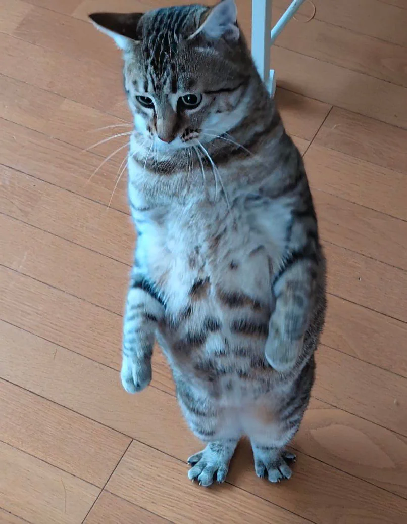 아들과 딸의 차이.JPG