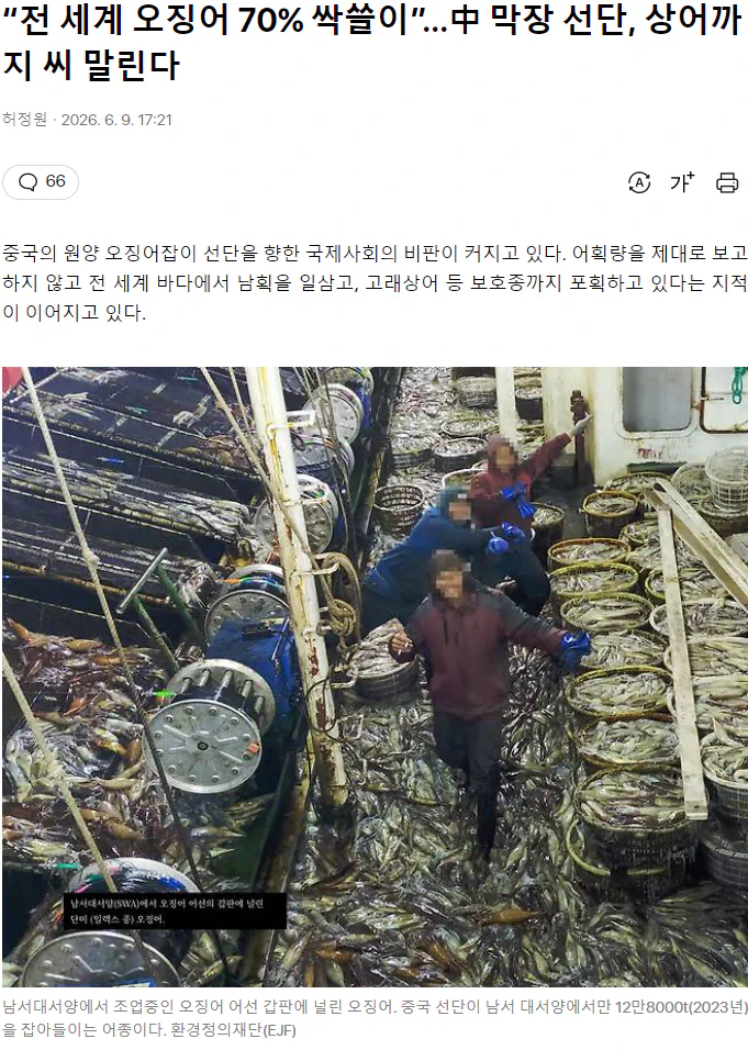 “전 세계 오징어 70% 싹쓸이”…中 막장 선단, 상어까지 씨 말린다