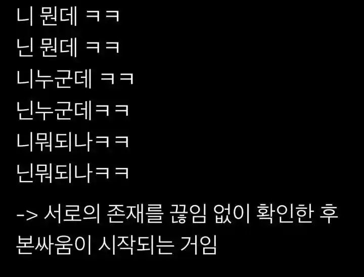 경상도 싸움의 특징.jpg