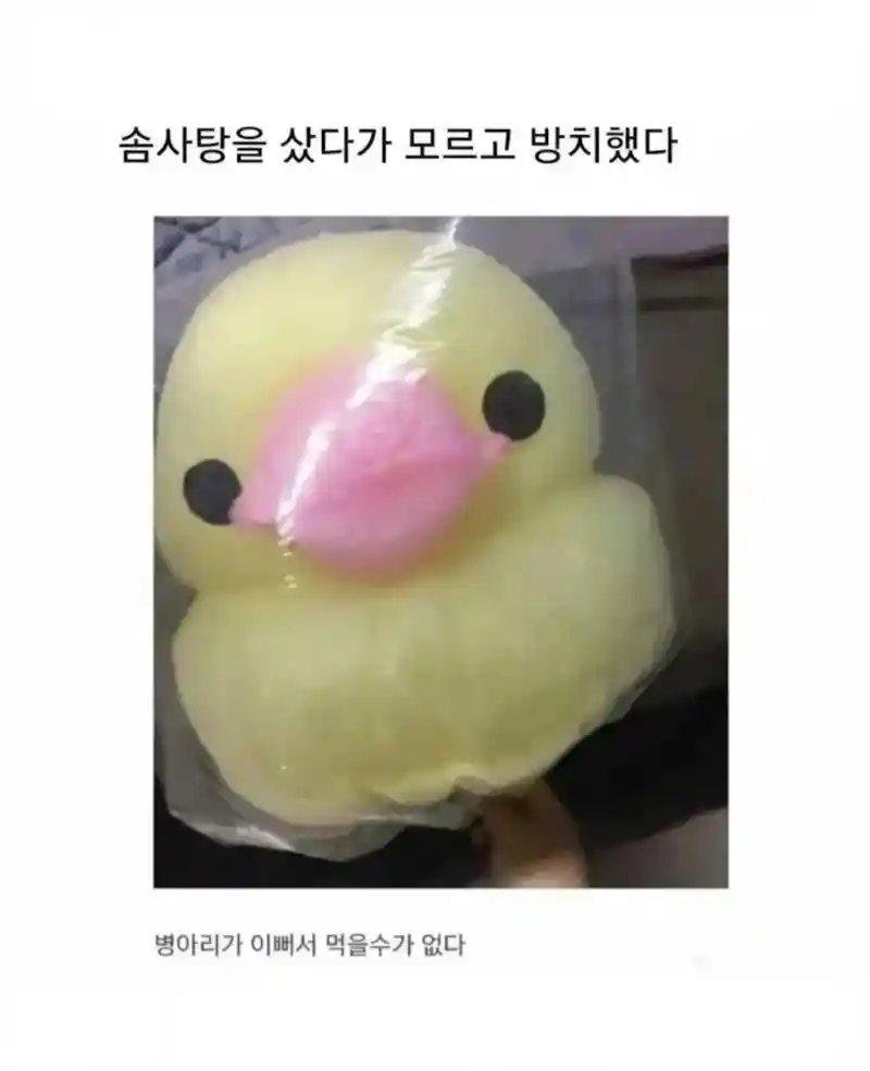 솜사탕을 샀다가 방치했을때