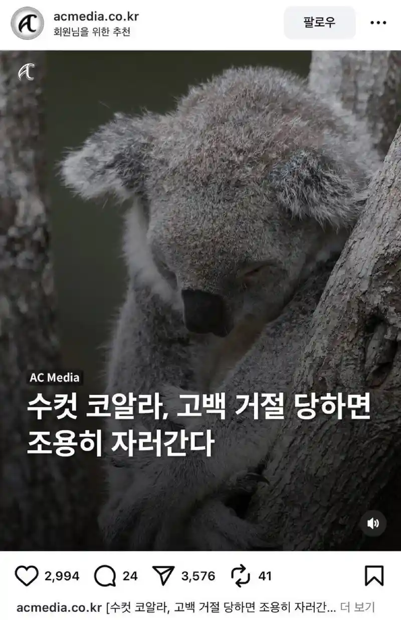 수컷 코알라가 고백 거절 당하면 하는 행동.jpg