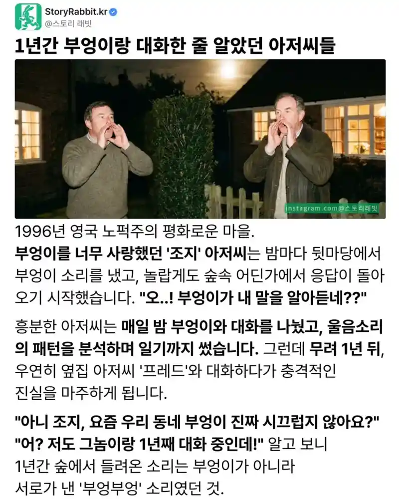 1년 간 부엉이랑 대화한 줄 알았던 아저씨들