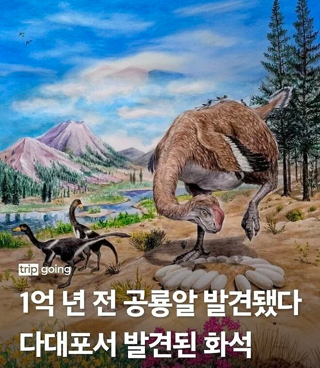 다대포서 ‘1억 년 전 공룡알’ 화석