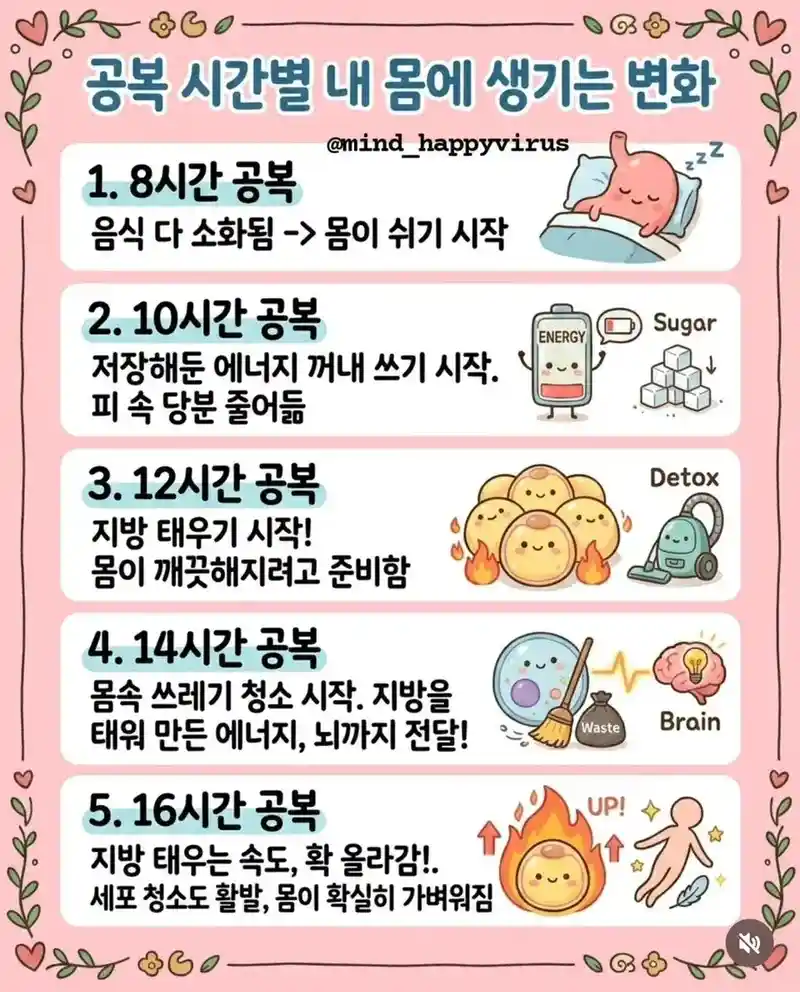 공복 시간별 몸의 변화